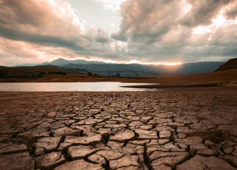 Paisagem com solo ressecado (crédito: redcharlie/unsplash